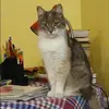 Отзыв от Лера Третьякова
